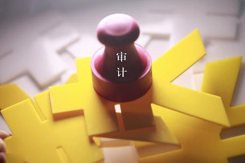 挑选审计报告翻译服务的关键要点